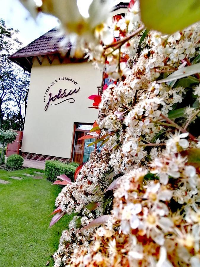 Jolan Pension & Restaurant Cicov Exterior foto