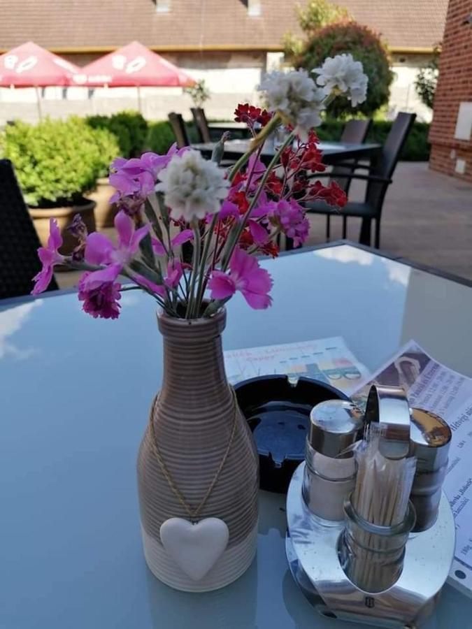Jolan Pension & Restaurant Cicov Exterior foto