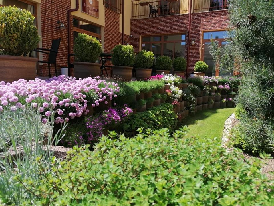 Jolan Pension & Restaurant Cicov Exterior foto
